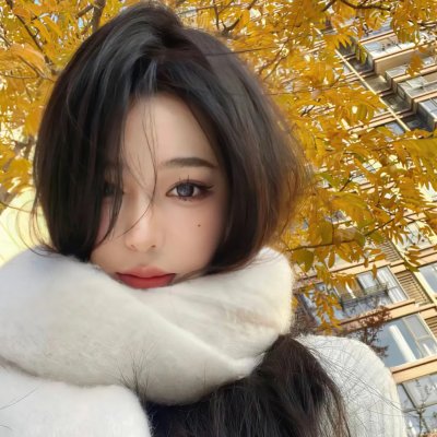 橱窗里的兔子先生